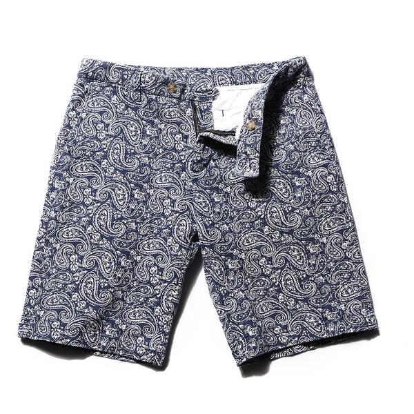 Excellent Navy Blue Paisley Pattern Mens Shorts